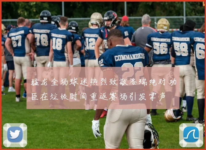 猛龙全场球迷热烈致敬洛瑞绝对功臣在垃圾时间重返赛场引发掌声