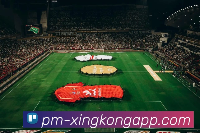 App功能展示图